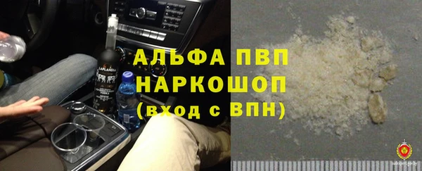 дмт Верея