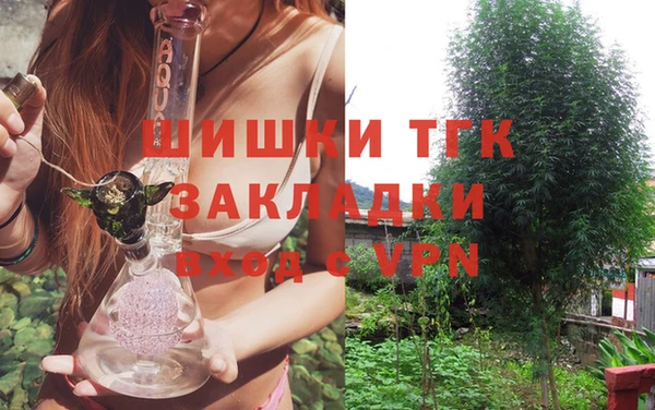дмт Верея