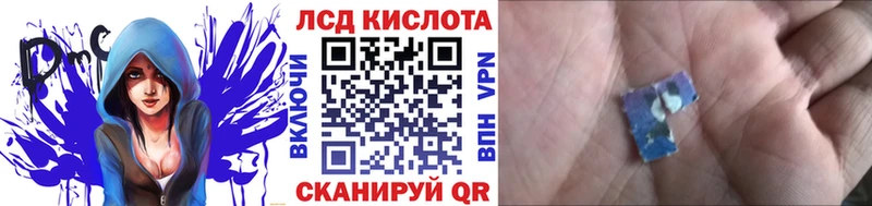 Наркотические марки 1,5мг  продажа наркотиков  Петров Вал 