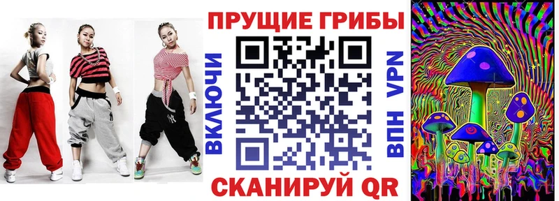 купить  сайты  Петров Вал  Псилоцибиновые грибы Psilocybe 